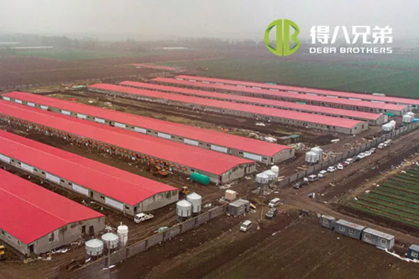 ãProjekt pełnej liniiãShandong Zhucheng4800 farma loch