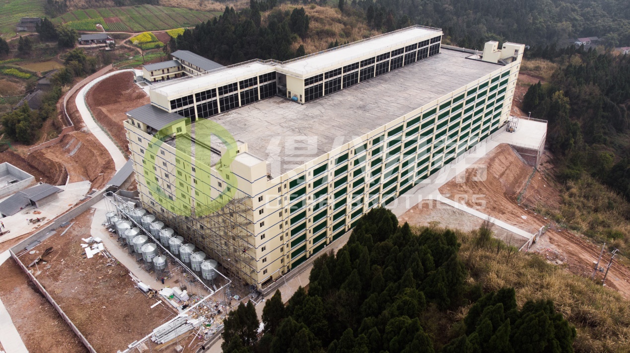 Jak poprawić jakość środowiska w nowoczesnym projekcie fermy trzody chlewnej