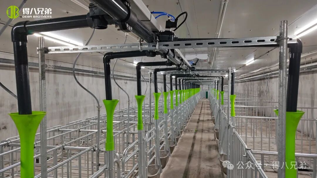 Baza demonstracyjna hodowli i uprawy świń czarnych Deba Brother Licha – zintegrowane operacje 2000 macior, 50 000 ubojów rocznie, 67 000 metrów kwadratowych